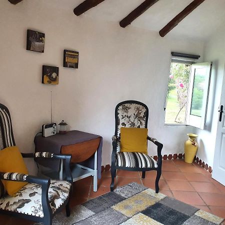 Le Clos D'Almide Monestier  Zewnętrze zdjęcie